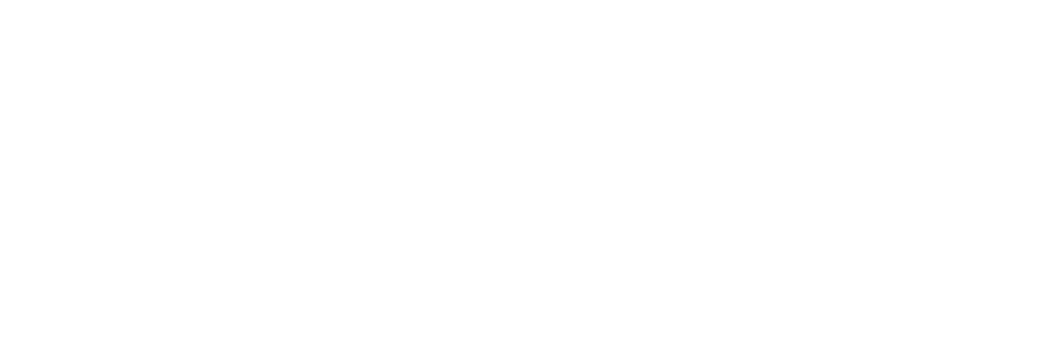 T.F. Franco Capital Group, T.F. FRANCO CAPITAL GROUP SGPS, LDA